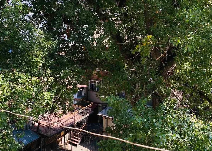 Appartement Black Sea *