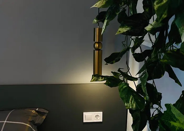 Apartman Black Sea *